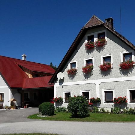 Biobauernhof Obereck Apartment Göstling an der Ybbs Exterior foto