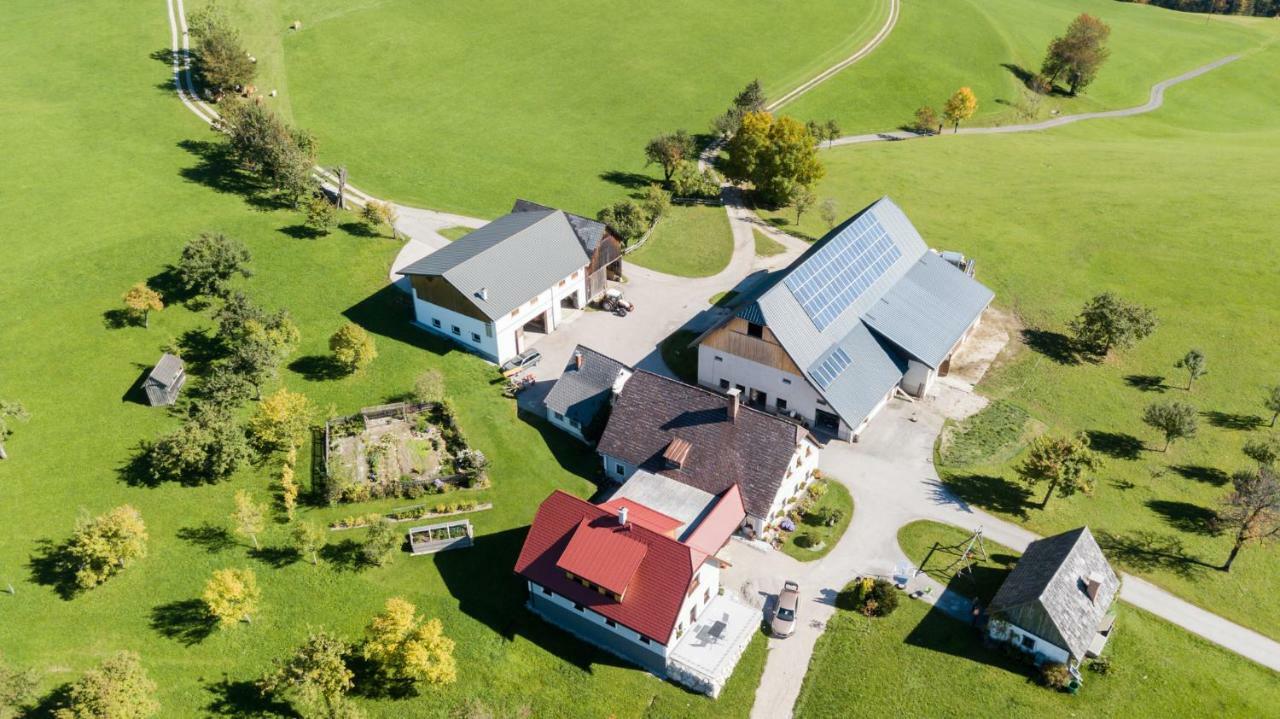 Biobauernhof Obereck Apartment Göstling an der Ybbs Exterior foto