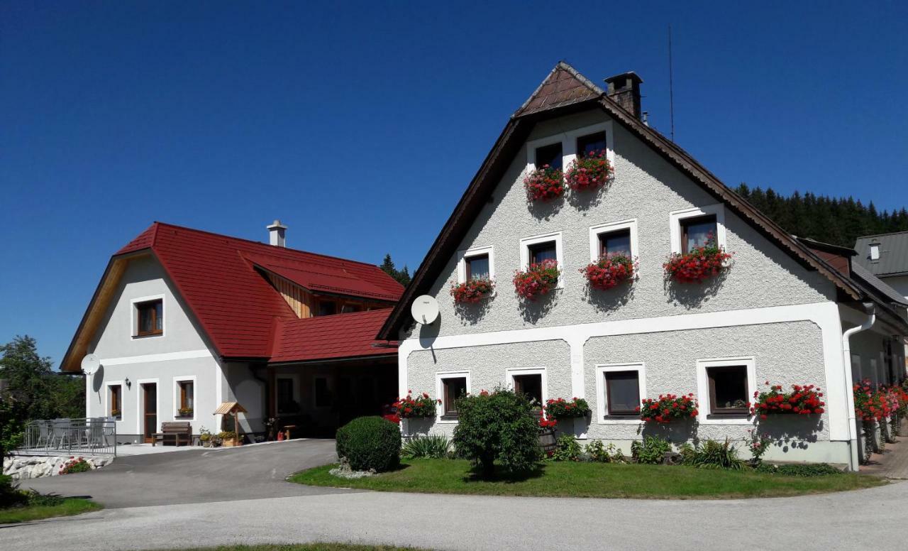 Biobauernhof Obereck Apartment Göstling an der Ybbs Exterior foto